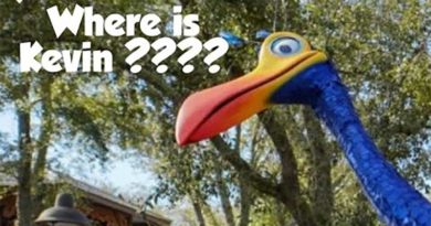 Where Is Kevin?? | Disney's Animal Kingdom Family Day
