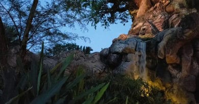 Biff Wonderland - 10 Minutes of Nightfall | Tree of Life Animal Kingdom