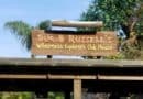 Meet Russell and Dug at Discovery Island