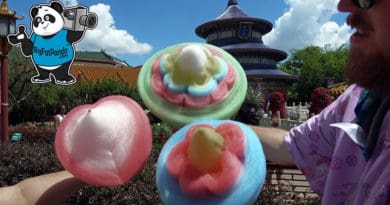 Big Fat Panda - 5 Layer Rainbow Cotton Candy | China Pavilion in Epcot