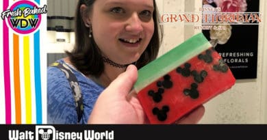 FreshBakedWDW - Shopping at Basin in the Grand Floridian and Happily Ever After