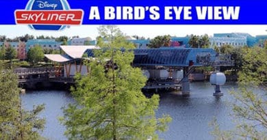 Passport to the Parks - Skyliner Bird's Eye View