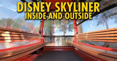 The DIS - Disney Skyliner Inside and Out