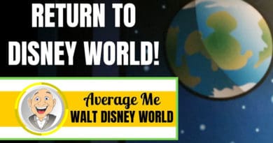 Average Me - I'm Back at Disney World