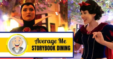 Average Me - Storybook Dining at Artist Point