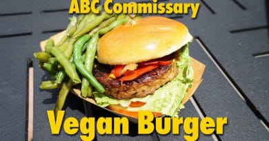 The DIS - Vegan Burger at ABC Commissary
