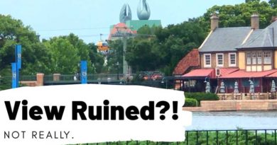 Does the Disney Skyliner ruin the views of World Showcase? | Fresh Baked WDW