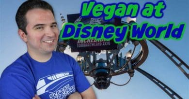 Vegan at Disney World