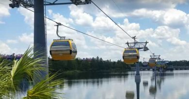 Disney Skyliner Reflections On Hourglass Lake