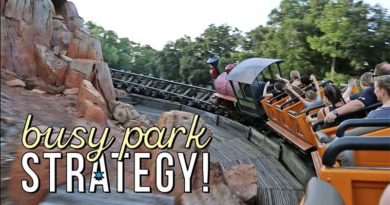 How to Have a Successful Night at Magic Kingdom Despite Summer Crowds! | Fast Passes & Opportunity