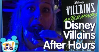 Is Villains After Hours at Magic Kingdom Worth It?