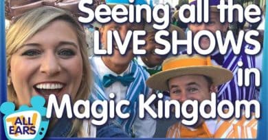 The Shows You've GOT to See in Disney World's Magic Kingdom (And The Ones You Can Totally Skip)