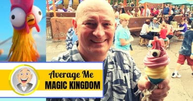 Average Me - Hei Hei Cone at Magic Kingdom