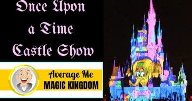 Average Me - Castle Projection Show at Magic Kingdom