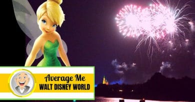 Average Me - Fireworks and Dining at Disney World