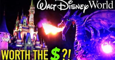 Is DISNEY VILLAINS AFTER HOURS Worth the Cost?! - Disney Vlog #11