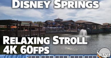 Resort TV 1 - Disney Springs Relaxing Stroll