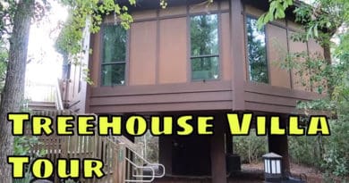 Resort TV 1 - Saratoga Springs Treehouse Villas Tour