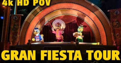 The Dis - Gran Fiesta Tour POV