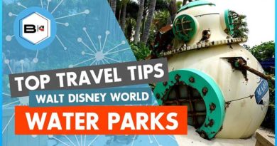 Top 10 Tips Visiting Disney's Water Parks
