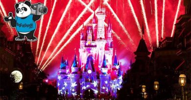 NEW 2019 4th of July Fireworks - Finale & Highlights - Magic Kingdom - Celebrate America