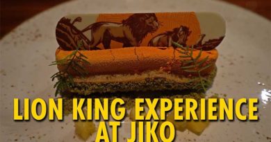 Lion King Dining Experience at Jiko | Disney's Animal Kingdom Lodge