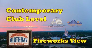 Disney's Contemporary Resort - Club Level - 4th of July fireworks