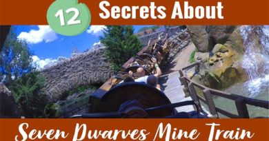 11 Secrets Everyone Should Know about Seven Dwarfs Mine Train