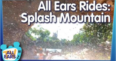 Disney World's Splash Mountain: Hidden Secrets, POV Ride Through & Helpful Tips