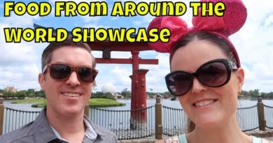 Epcot's Japan Pavilion Part 2 - Trying Candy & Food From Around the World Showcase