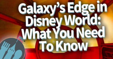 Disney Food Blog - What You Need to Know About Galaxy's Edge in Walt Disney World