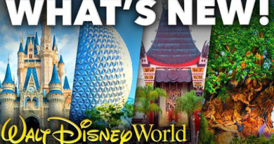 Mickey Views - What's New at Disney World