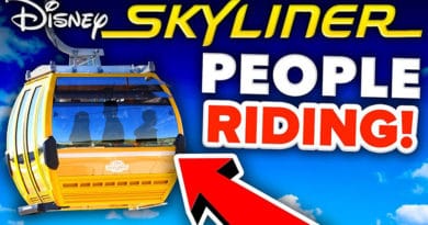 Mickey Views - People Riding Disney Skyliner Gondolas