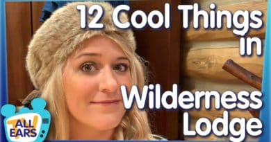 12 Reasons Wilderness Lodge is the BEST Disney World Resort