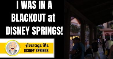 I was in a BLACKOUT at Disney Springs!
