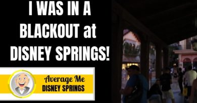 I was in a BLACKOUT at Disney Springs!