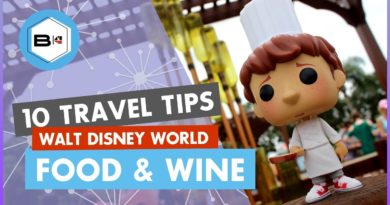 Top 10 Tips Visiting the 2019 Epcot Food & Wine Festival