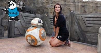 BB8 and R2D2 - Star Wars Galaxy's Edge - Disney's Hollywood Studios