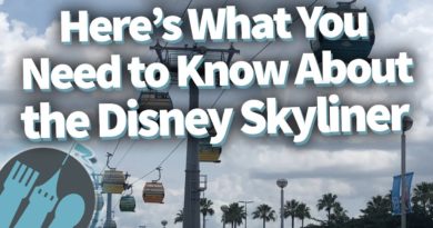 EVERYTHING You Need to Know About the Disney World Skyliner!