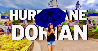 Hurricane Dorian DISNEY WORLD ~ WHAT locals Really do to prepare