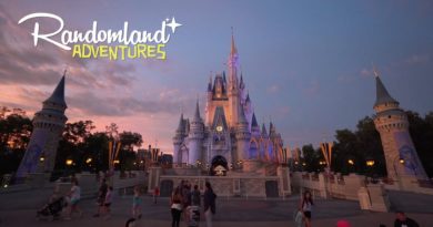Walt Disney World in a Hurricane - All 4 Parks! Dorian: The Storm that Mostly Missed