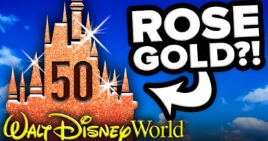 ROSE GOLD CASTLE Coming to Walt Disney World for 50th ANNIVERSARY?