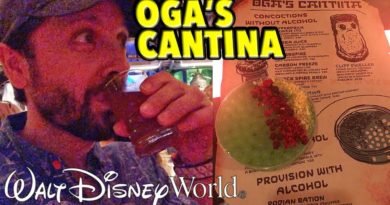 Oga's Cantina in Walt Disney World's Galaxy's Edge!