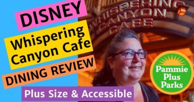 Disney - Whispering Canyon Cafe - Dining Review - Plus Size, Accessible & Sensory