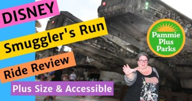 Disney - Smuggler's Run - Star Wars Galaxy's Edge - Ride Review - Plus Size, Sensory & Accessible