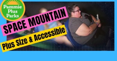 Space Mountain | Plus Size | Accessible | Sensory | Ultimate Ride Review