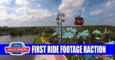 Disney Skyliner First Official Disney Ride Footage Inside The Gondolas - My Reaction