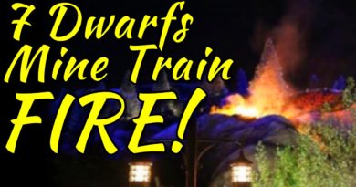 7 Dwarfs Mine Train Fire! [WDW News]