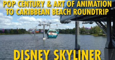 Disney Skyliner Pop Century & Art of Animation to Caribbean Beach Roundtrip POV