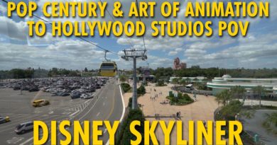 Disney Skyliner Pop Century & Art of Animation to Disney's Hollywood Studios POV